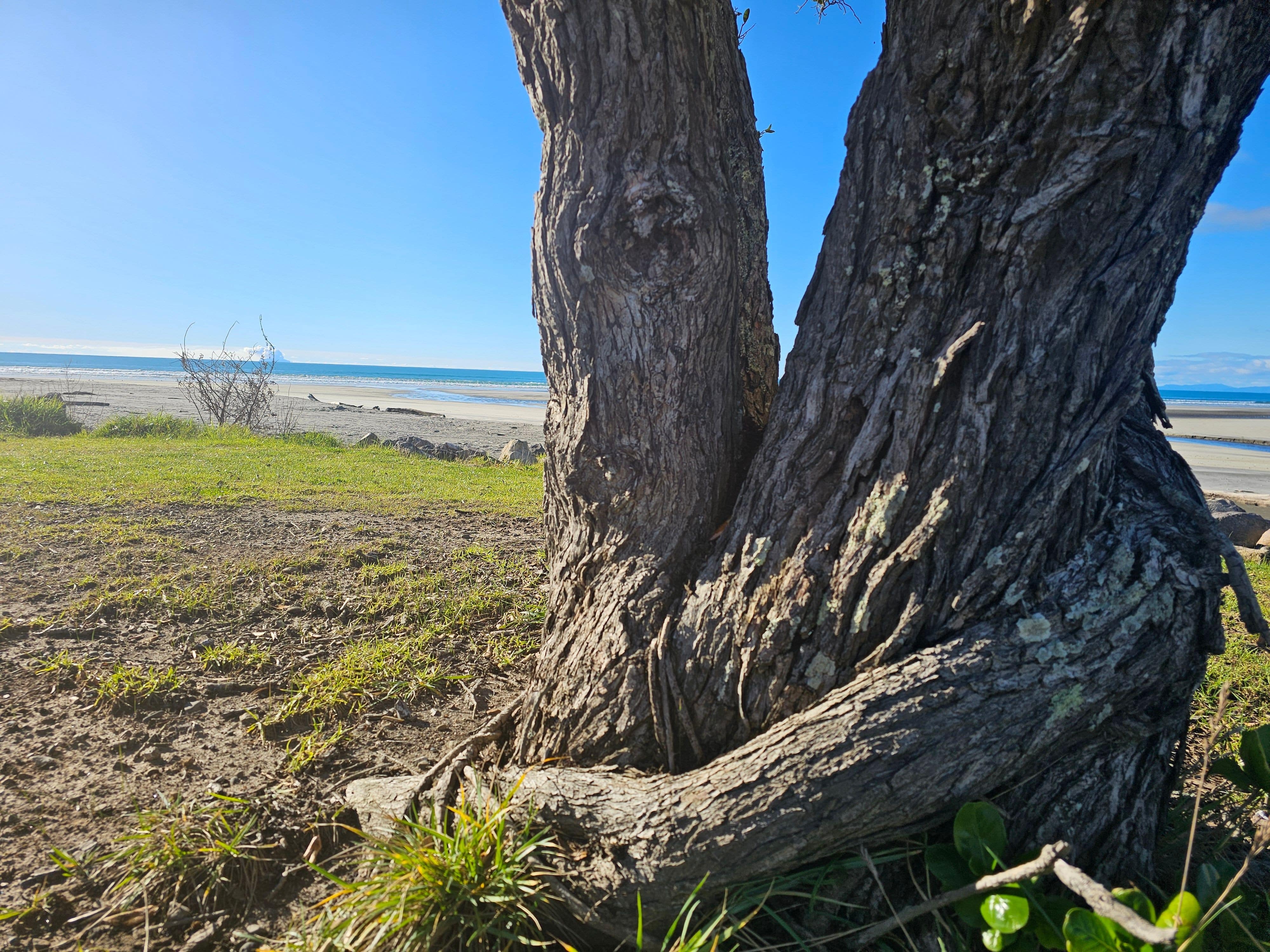Rhea Lynch, adult and child Counselling, face to face or online,  Whakatane